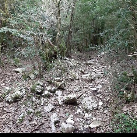 Hamiti Camping Center Dukat Bagian luar foto