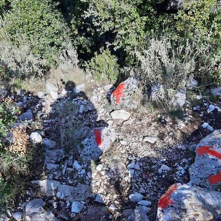 Hamiti Camping Center Dukat Bagian luar foto