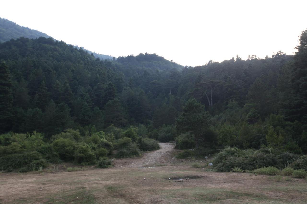 Hamiti Camping Center Dukat Bagian luar foto