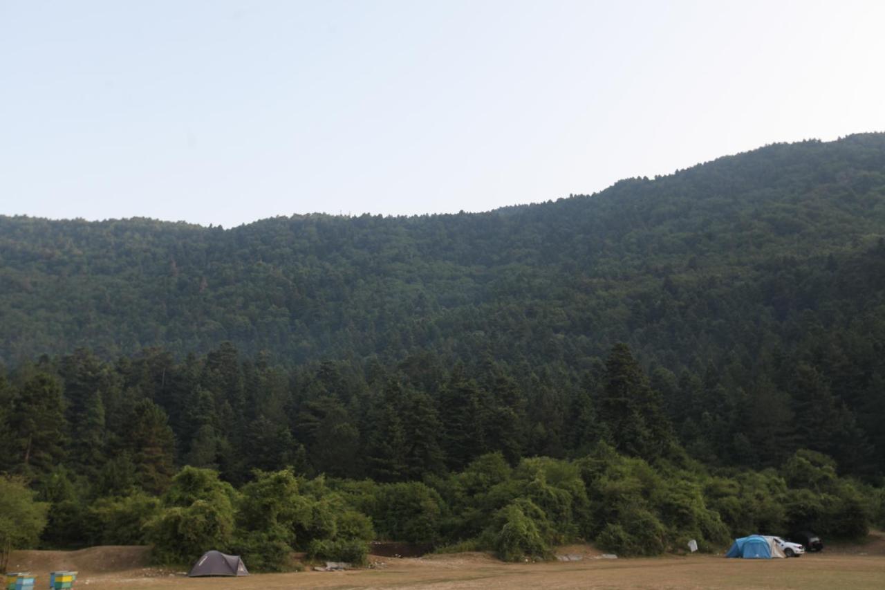 Hamiti Camping Center Dukat Bagian luar foto